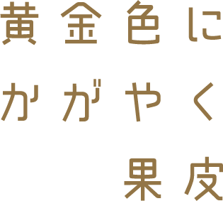 黄金色に輝く果皮