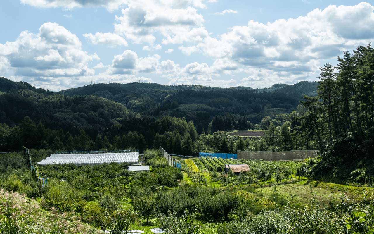 泉山果樹園